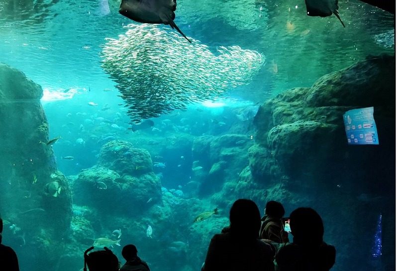 新江ノ島水族館