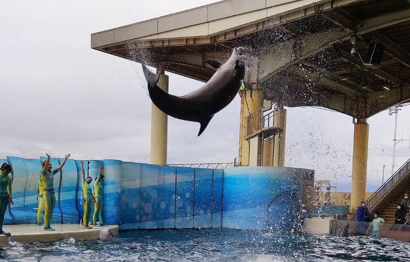 新江ノ島水族館