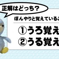 情けは人のためならず の意味と誤用 フロンティア技研